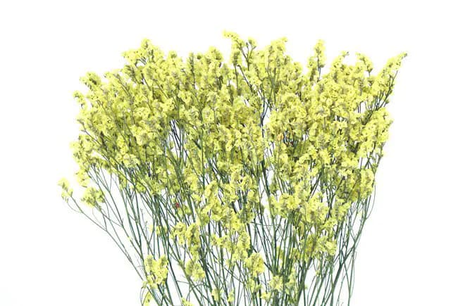 22" Yellow Limonium Statice/Fall/Thanksgiving/Table Setting/Home Decor/Faux Decor/Faux Decoration/Fall Season/Indoor Decor/Artificial