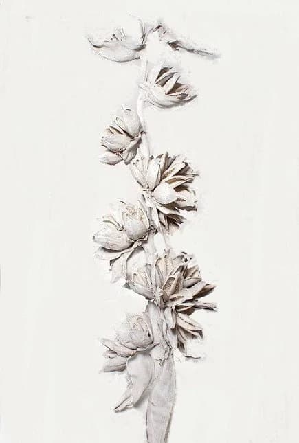 White Wash Sorrocco Branch/Curly Twigs/Branches/Centerpiece decor/ Decoration Branches/Gold Branches/Glitter Branches/Silver Branches
