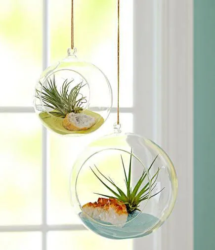 3" Round Bulb Terrarium, Geometric Glass Terrarium, Modern Planter, Wedding Centerpiece, Air Plant Terrarium, Succulent Planter