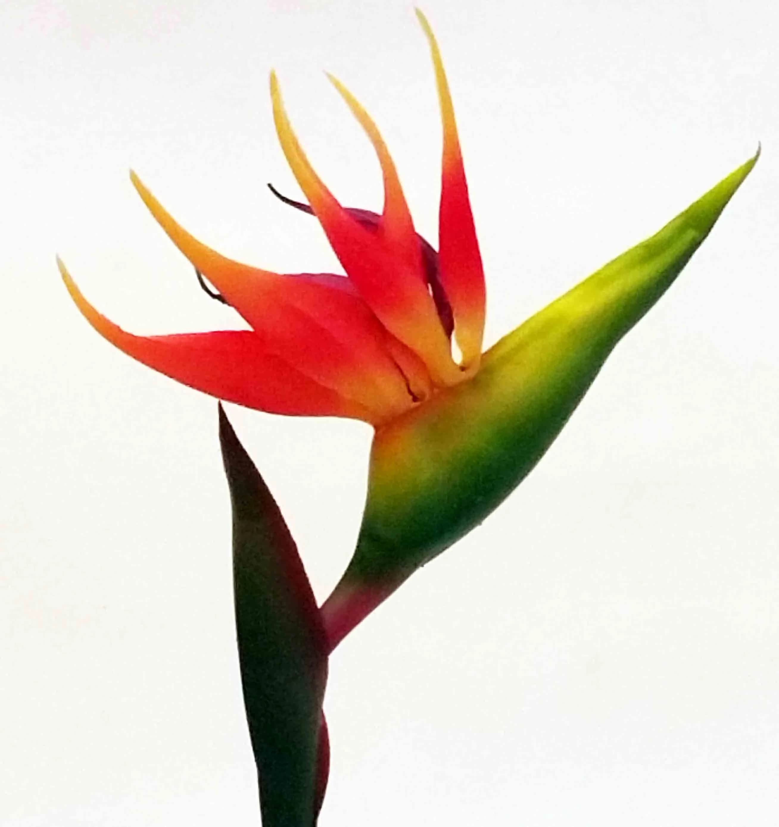 30" Bird of Paradise/Floral Wedding/Greenery/Wedding Centerpieces/Home Decor/Faux Vines/Silk Vines/Garlands