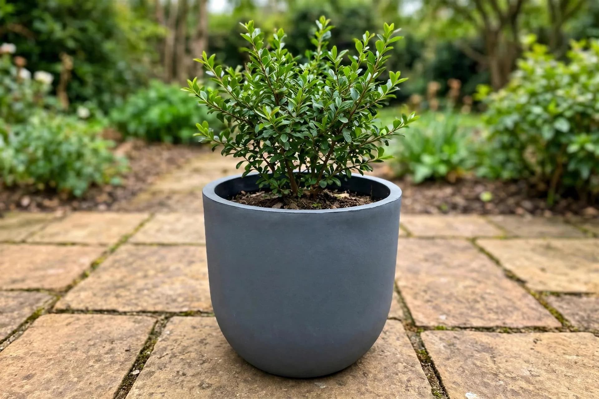 Eco Plastic Uovo Pot Slate 14x13 Inch | Smooth Egg-Shaped Planter | Lightweight Garden Pot