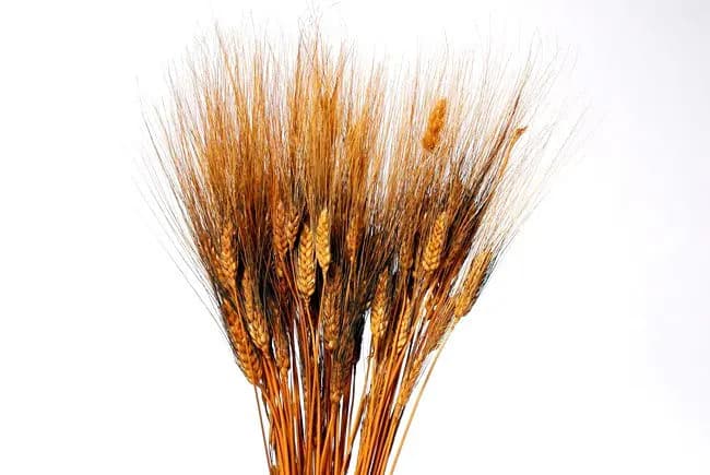 28" Orange Wheat/Yellow/Orange/Green/Natural/Sprays/ Fall Sprays/Centerpiece Decor/Faux Flowers/Silk Flowers/Flower Bouquet