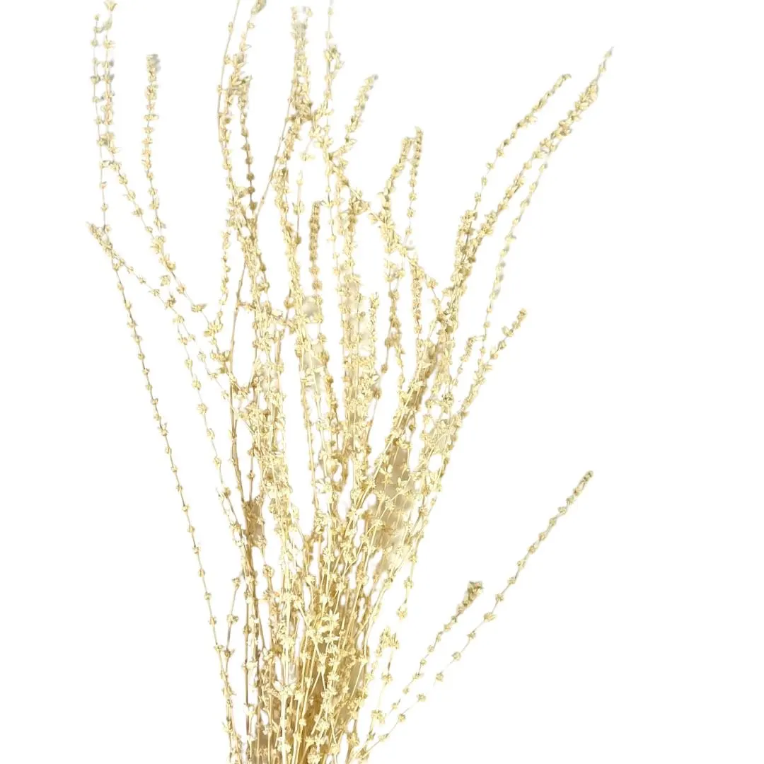 Bleached Roselle String/Bleached/Natural/Branches/Centerpieces/Home Decor/Vase Fillers/Prom/Wedding/Natural Branches