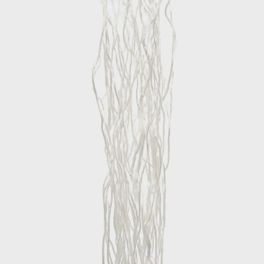 Curly Willow Branches
