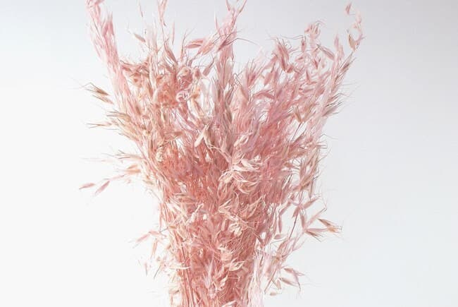 28" Light Pink Avena Wild/Fall/Thanksgiving/Table /Home Decor/Faux Decor/Faux Decoration/Fall Season/Indoor Decor/Artificial/Decor
