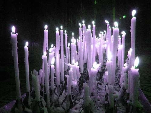 1-3-12pc Lavender Taper Candles/ 10"/ Centerpieces/ Vases/ Table Decorations/ Long Candles/Tall Candles/Blush Pink/Light Pink
