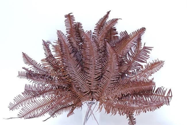 7-10" Dark Brown Mountain Fern/ Green/Yellow/Burnt Orange/Branches/Centerpiece decor/Winter/Decoration Branches/Branches/Glitter Branches