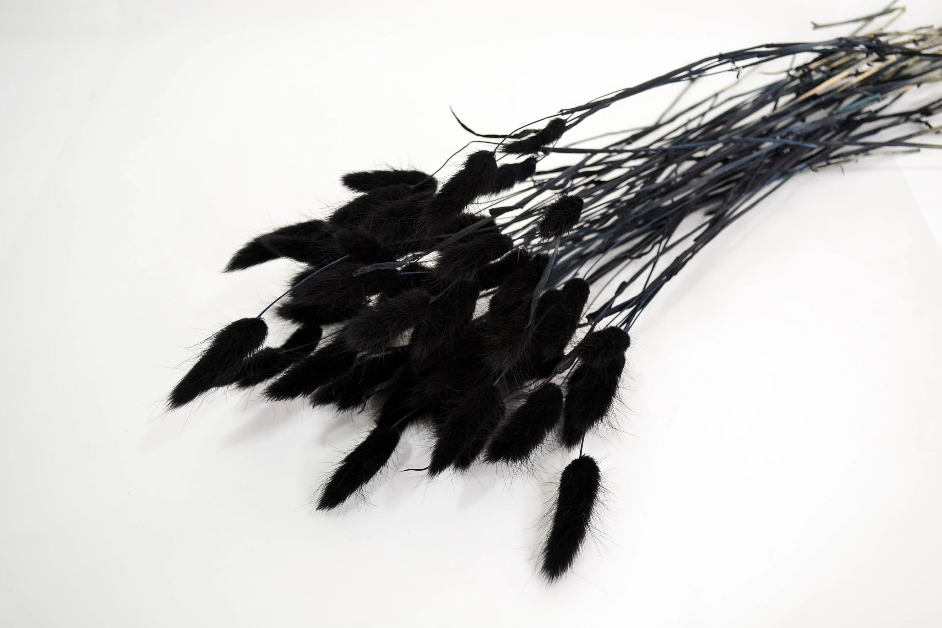 50PC Black Bunny Tails/Pampas Bundle/Home Decor/Rustic Wedding Decor/Dried Bunny Tail