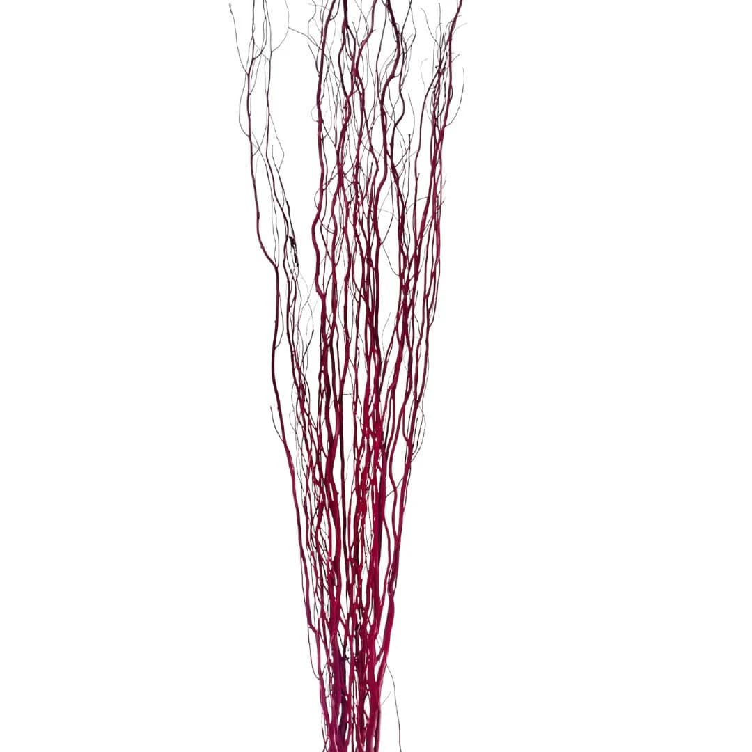 Burgundy Willow Natural Branch/Curly Twigs/Branches/Centerpiece decor/ Winter/Decoration Branches/Branches/Glitter Branches/Silver Branches