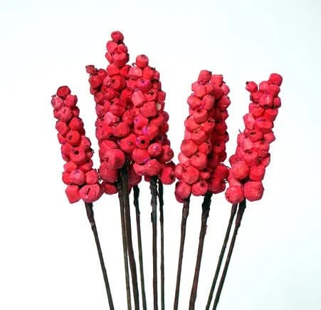 10PC Red Sola Grapes/Cones/Pine Cones On Sticks/Rustic Decor Idea/Rustic Bowl Filler/Wicker Decoration/Rustic Table Decor