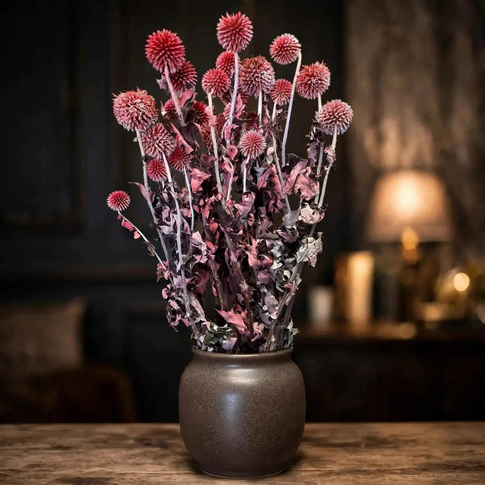 Echinops Preserved Red 24 Inch | 5 Oz | Preserved Thistle Flowers