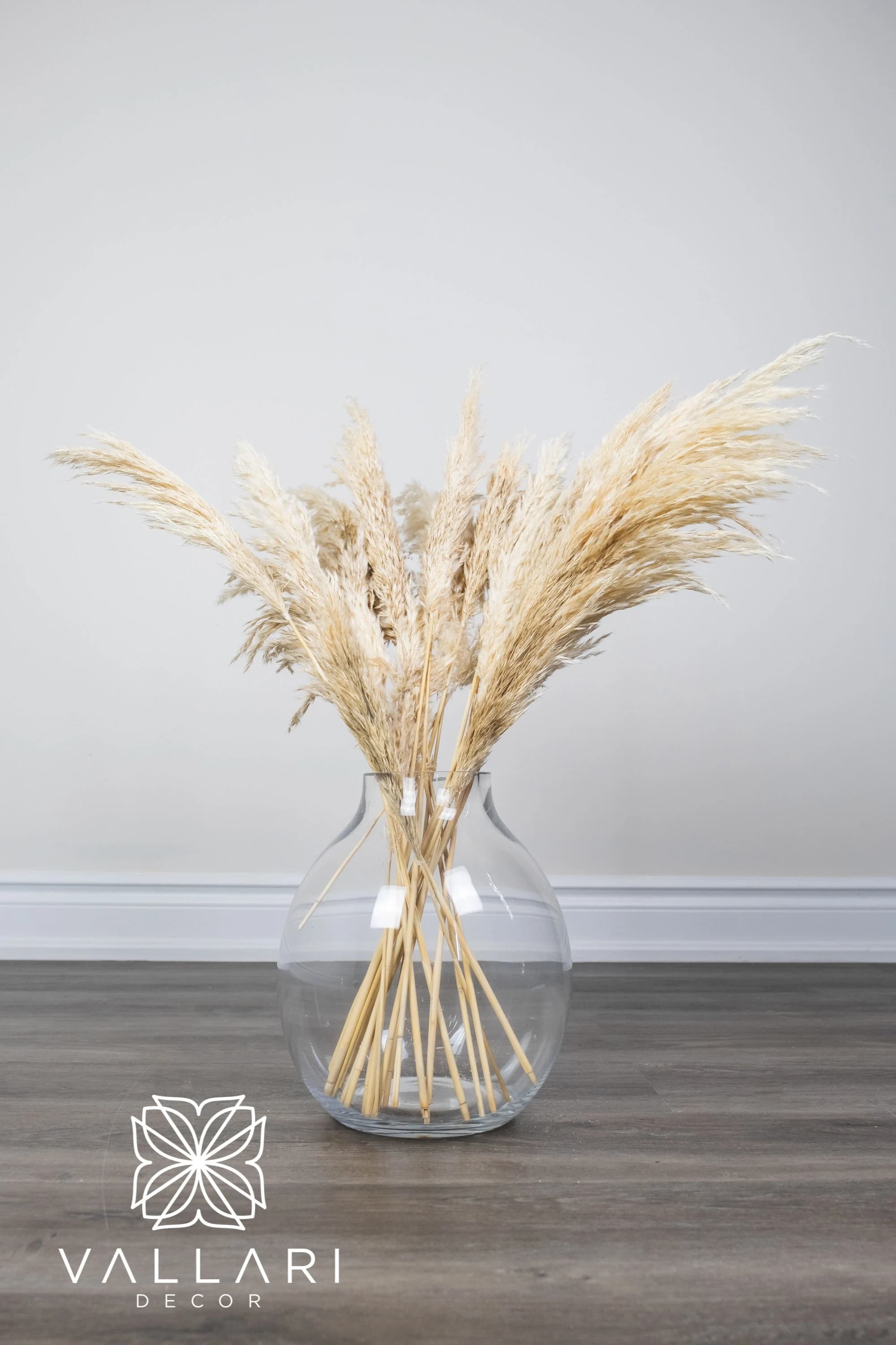 6-102pcs-2.5ft x Cream, Golden, Or Ivory Pampas Grass/Pampas Bundle/Home Decor/Rustic Wedding Decor/Brown Pampas/Ivory Pampas/Natural Pampas