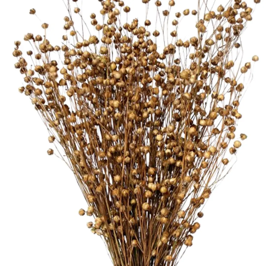 16" Natural Linum/Dried Canary Grass/Dried Flax/Home Decor/Dried Decor/Vase Filler/Dried Flax Bunch/Pampas Decor/Floral Vase
