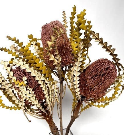 3PC Natural Banksia Speciosa/Curly Twigs/Branches/Centerpiece decor/Decoration Branches/Gold Branches/Glitter Branches/Silver Branches