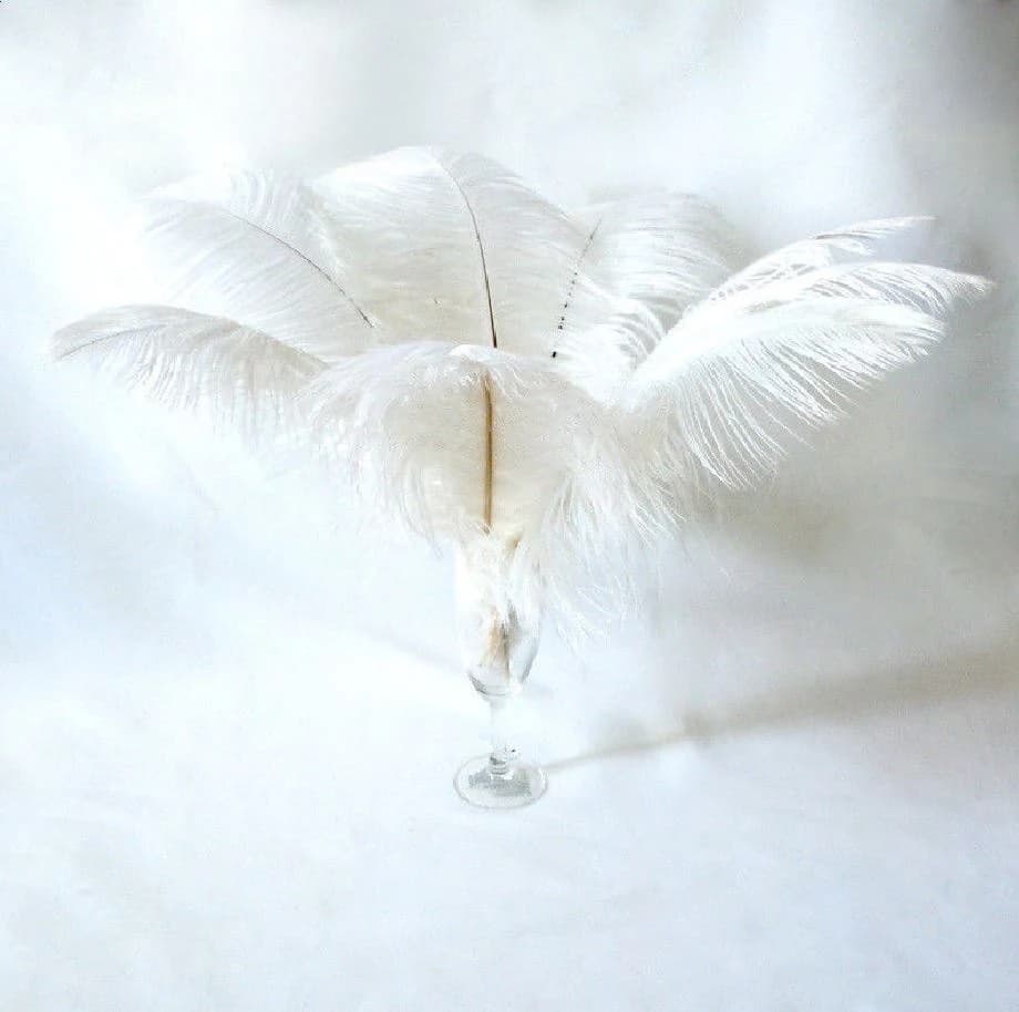 10 Pcs White Ostrich Feather Plume 16-18"/Plume Feathers/Milinery/Craft Feathers