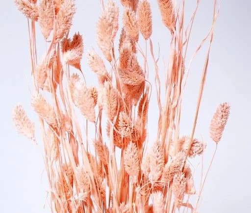 28" Light Pink Phalaris/Fall/Thanksgiving/Table Setting/Home Decor/Faux Decor/Faux Decoration/Fall Season/Indoor Decor/Artificial/Decor