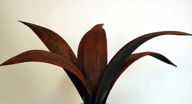 16-20" Brown Coco Dish Stems/Branches/Centerpiece decor/ Winter wonderland/Decoration Branches/Gold Branches/Home Decor