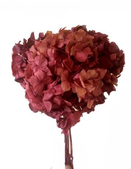 Preserved Light Pink Hydrangea/Floral Spray/Florals/Wedding/White/Greenery Bushel/Outdoor Wedding Greenery/Centerpiece Decor/Faux Flower