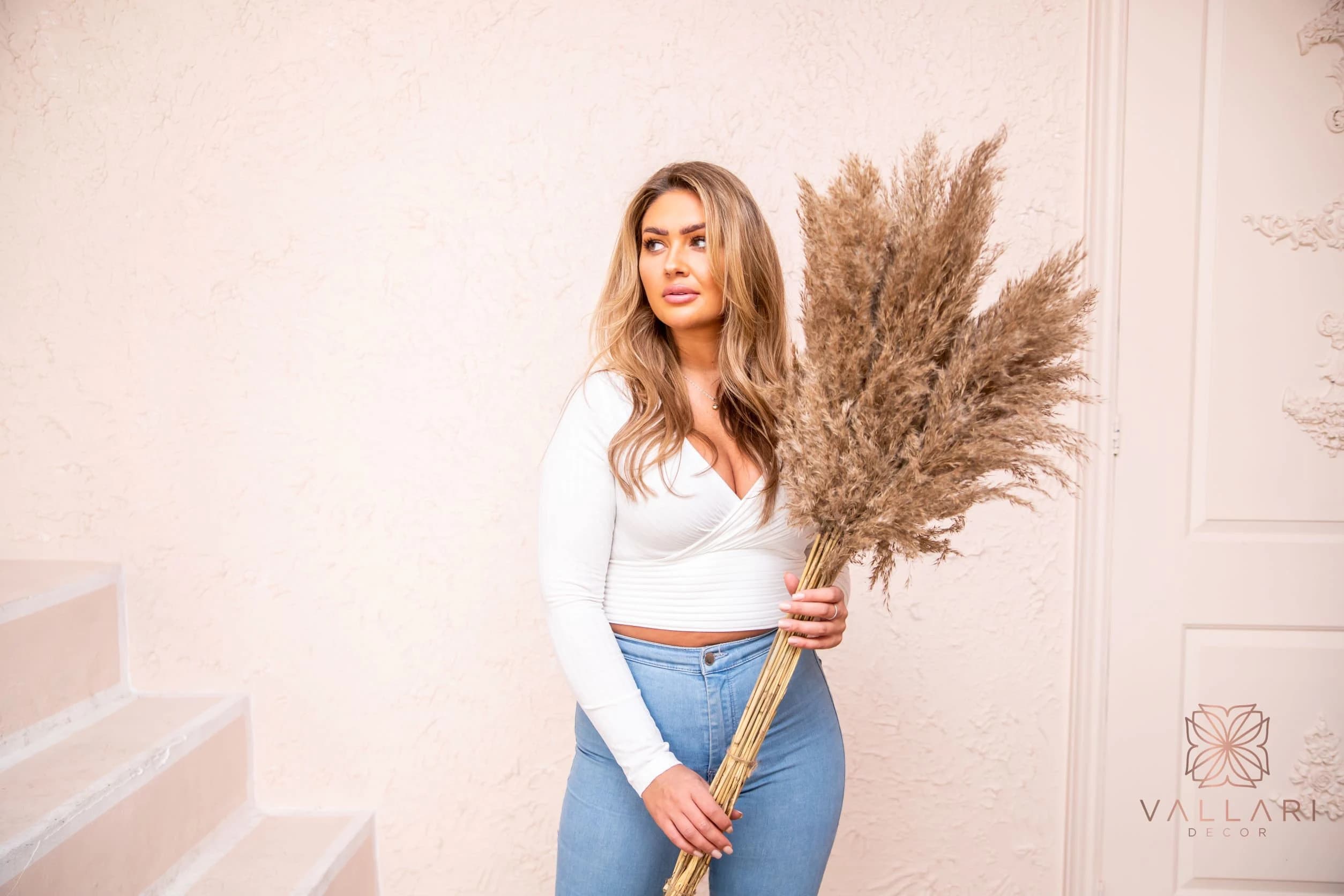 6pc Natural Brown Pampas Grass/Pampas Bundle/Home Decor/Wedding Decor/Brown Pampas/Ivory Pampas/Natural Pampas/2.5ft (30in) pampas