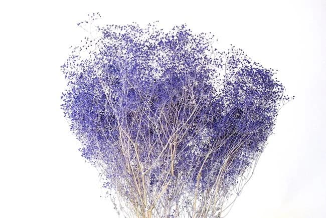 20" Dried Lilac Gypsophilia/Baby Breaths/Fall/Thanksgiving/Table Setting/Home Decor/Faux Decor/Decoration/Fall Season/Indoor Decor/Bleached