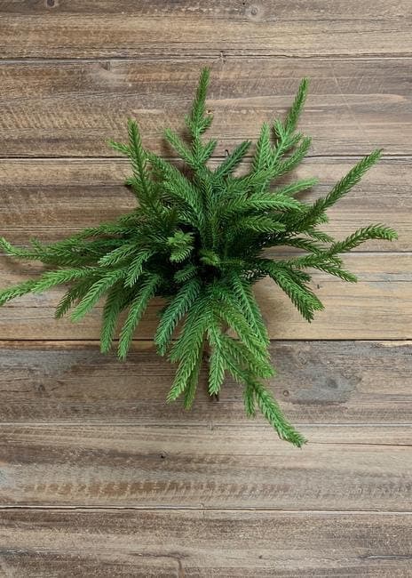 12" Fresh Touch Norfolk Pine/Faux Spray/Autumn Decor/Holiday Decor/Fall Decor/Thanksgiving Decor/Wedding Decor