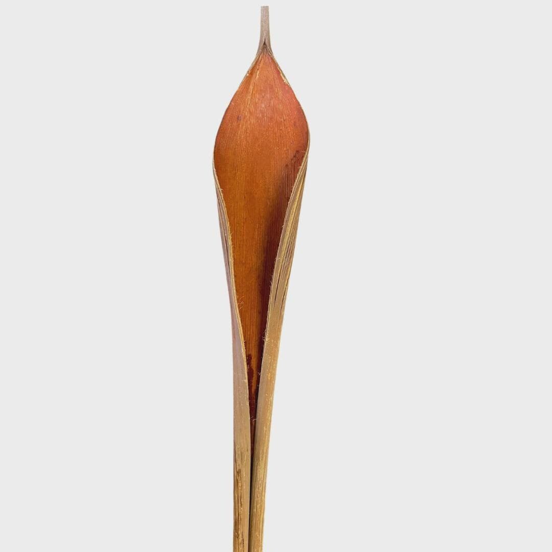 Natural Coco Beltrao/Branches/Centerpiece decor/ Winter wonderland/Decoration Branches/Gold Branches/Home Decor
