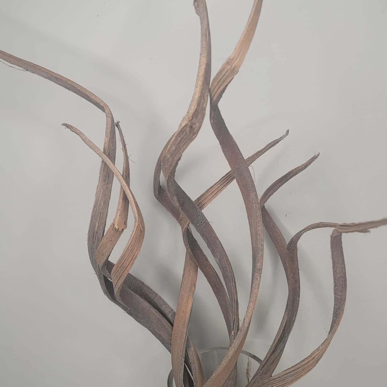 28" -10pc GREY Curly Coco Twigs/Branches/Centerpiece decor/Winter wonderland/Decoration Branches/Gold Branch/Glitter Branch/Silver Branch