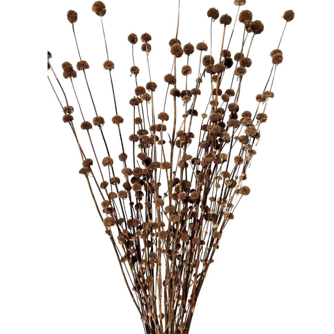 25" Ball Flower/Natural Decor/Exotic Decor/Holiday Decor/Rustic Decor Idea/Rustic Bowl Filler/Rustic Table Decor/Fall Decor