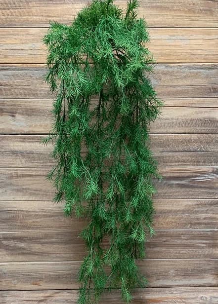 30" Springerri Hanging Bush/Christmas Decor/Christmas Decor Idea/Christmas Decoration/Holiday Decoration/Table Decor/Holly Bush