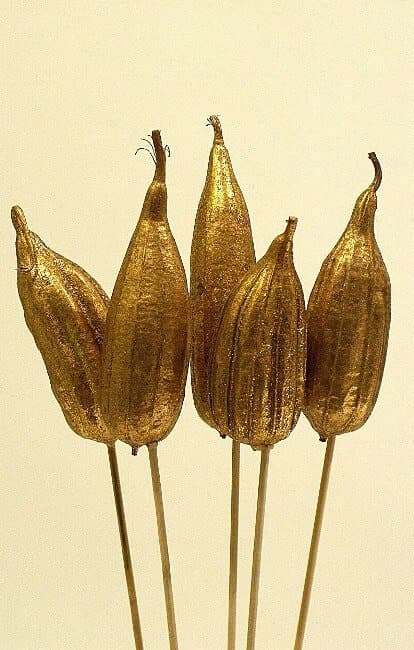 4-8" Gold Sparkle Jhinga Pods/Cones/Pine Cones On Sticks/Rustic Decor Idea/Rustic Bowl Filler/Home Decor/Rustic Table Decor/Vase Filler