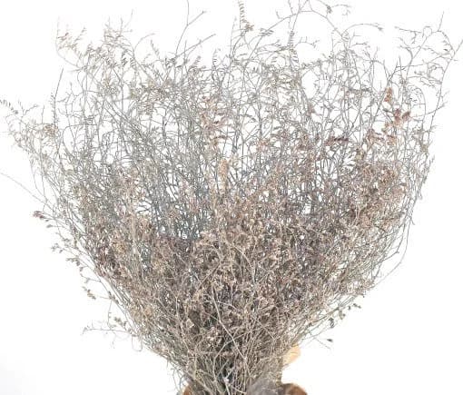 20" White Wash Limonium Latifolium/Fall/Thanksgiving/Table Setting/Home Decor/Faux Decor/Faux Decoration/Fall Season/Indoor Decor/Artificial