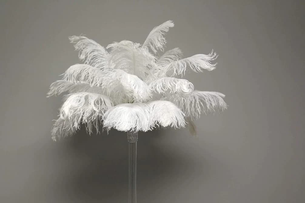 1-100 pcs 14"-16" Wholesale beautiful ostrich feathers for Centerpieces Wedding/centerpieces Tail Feathers. Cheap Feathers/wholesale Ostrich