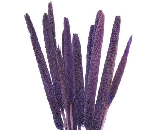 28" Lilac Babala on Sticks/Branches/Centerpiece decor/ Winter wonderland/Decoration Branches/Gold Branches/Home Decor