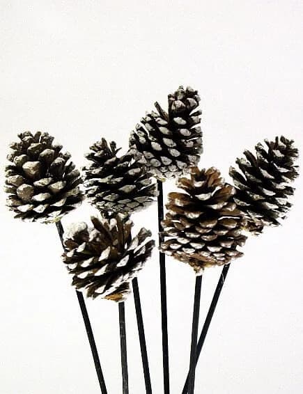 2.5"-3" White Tip Pine Cones On Stems/Cones/Pine Cones On Sticks/Rustic Decor Idea/Rustic Bowl Filler/Wicker Decoration/Rustic Table Decor