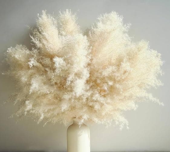 16" Boho Cream Pampas Grass Bouquet| Dried Floral Arrangement | Neutral Boho Home Decor | Wedding Centerpiece