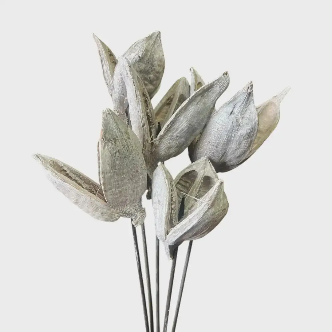 4"-5" Sorocco on Stems/Cones/Pine Cones On Sticks/Rustic Decor Idea/Rustic Bowl Filler/Rustic Table Decor/Fall Decor/Spring Decor