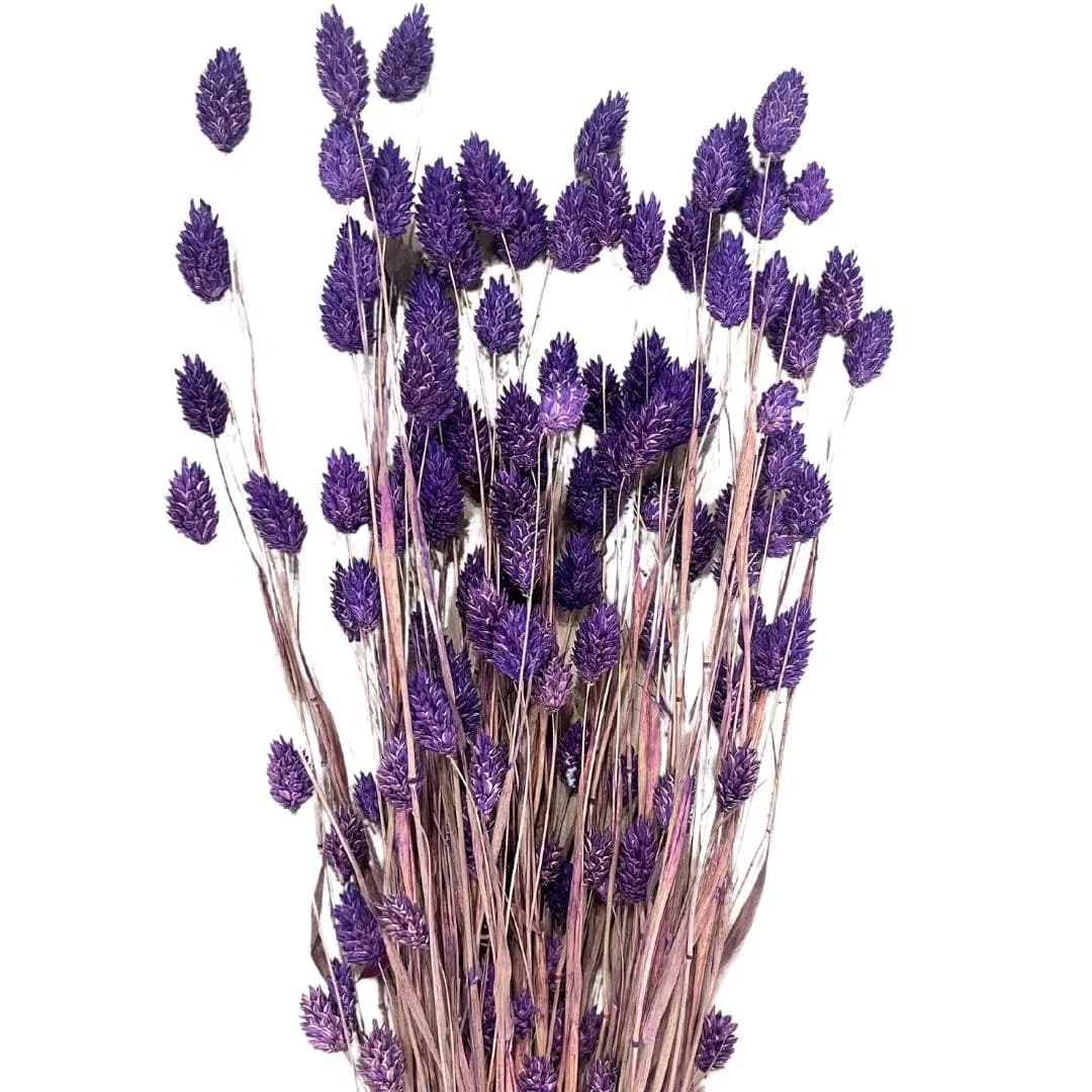 26" Phalaris/Fall/Thanksgiving/Table Setting/Home Decor/Faux Decor/Faux Decoration/Fall Season/Indoor Decor/Artificial/Decor