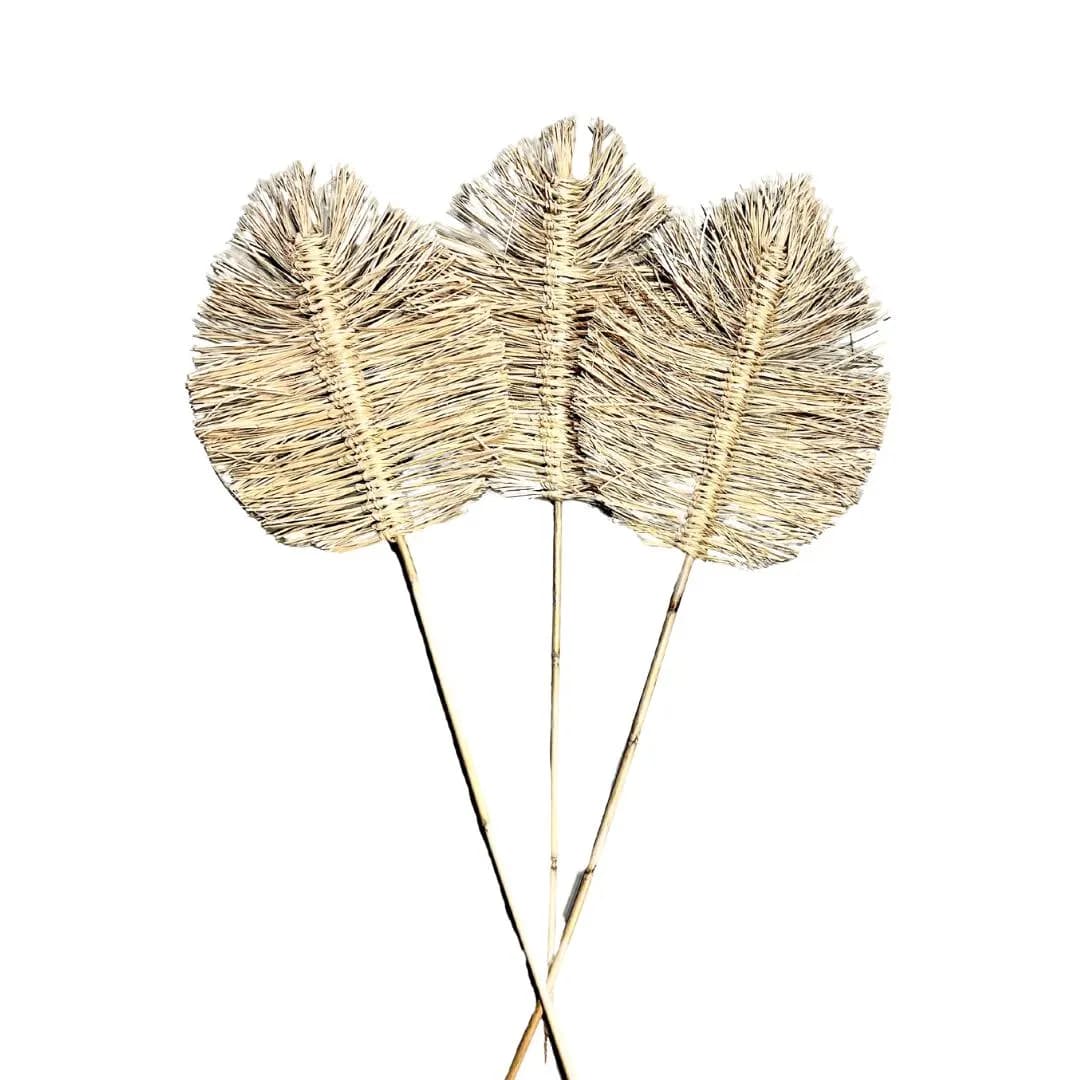 Large Bleached Boho Leaf/Pampas/Vibrant Pampas/Fluffy/Boho BlueHome Decor/Rustic Wedding/Brown Pampas