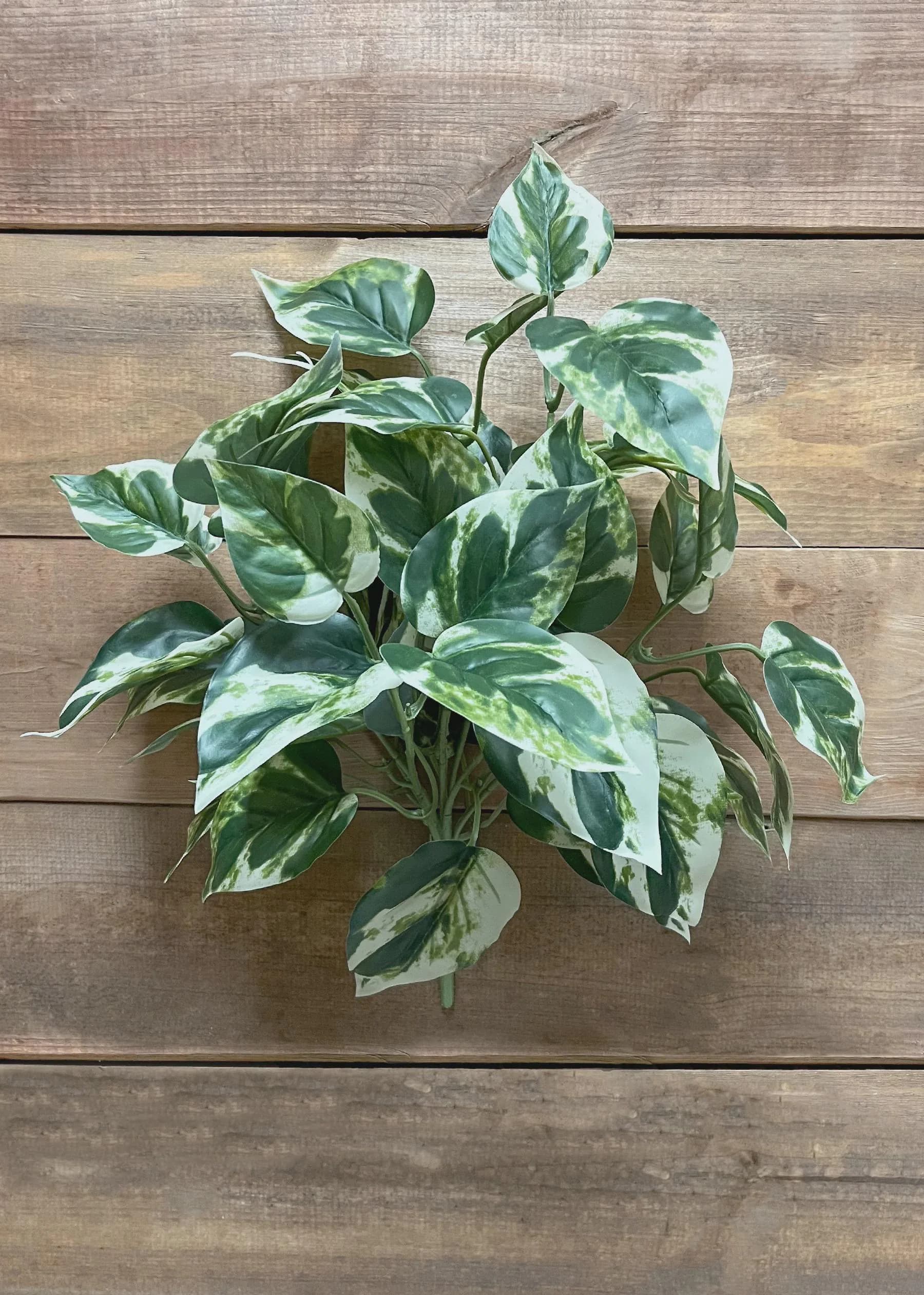 15" Artificial Pothos Bush in White and Green | Faux Variegated Pothos Greenery | Silk Trailing Plant for Home Decor, Weddings & Events