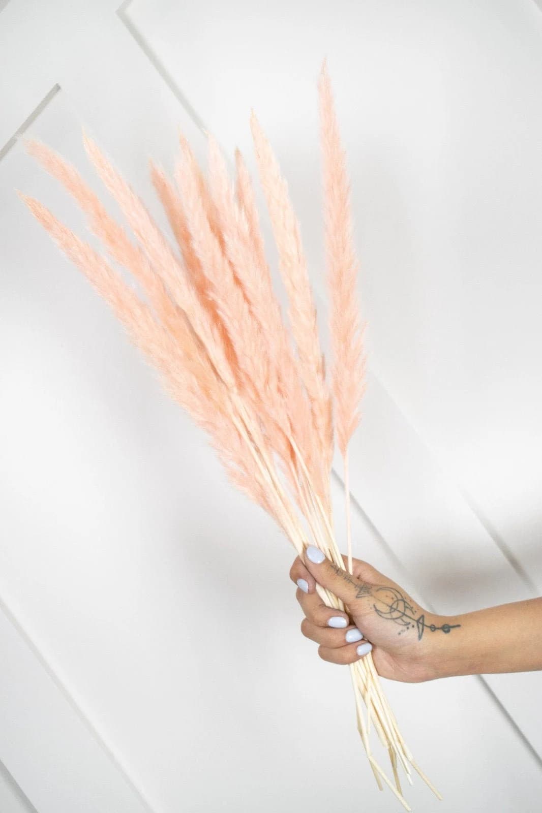 MINI 30" Light Pink/Blush Pampas Grass/Assorted Sizes/Home Decor/Wedding Decor/Blush Wedding/Blush Pampas/Light Pink Pampas/ Natural Pampas