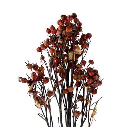 18" Natural Rosehips/Dried/Fall/Thanksgiving/Table Setting/Home Decor/Faux Decor/Decoration/Fall Season/Indoor Decor/Bleached
