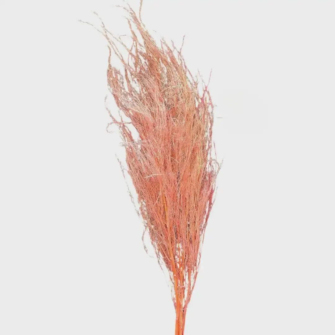Preserved Light Pink Medulla Junci/Branches/Centerpiece decor/ Winter wonderland/Decoration Branches/Gold Branches/Home Decor