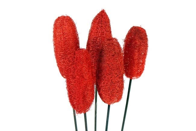 4-6" Luffa Pods on Sticks/Branches/Centerpiece decor/ Winter wonderland/Decoration Branches/Gold Branches/Home Decor