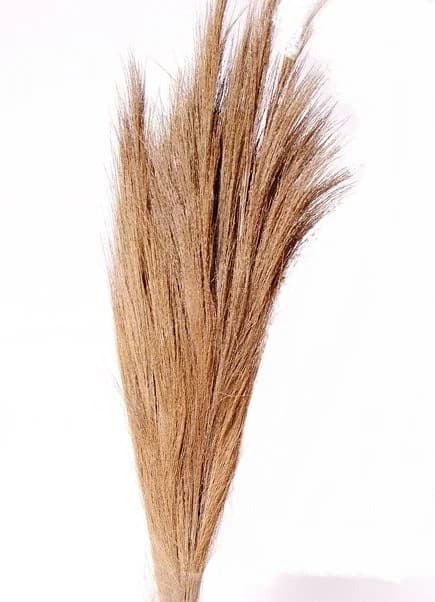 42" Peach Broom Grass/Branches/Centerpiece decor/ Winter wonderland/Decoration Branches/Gold Branches/Home Decor