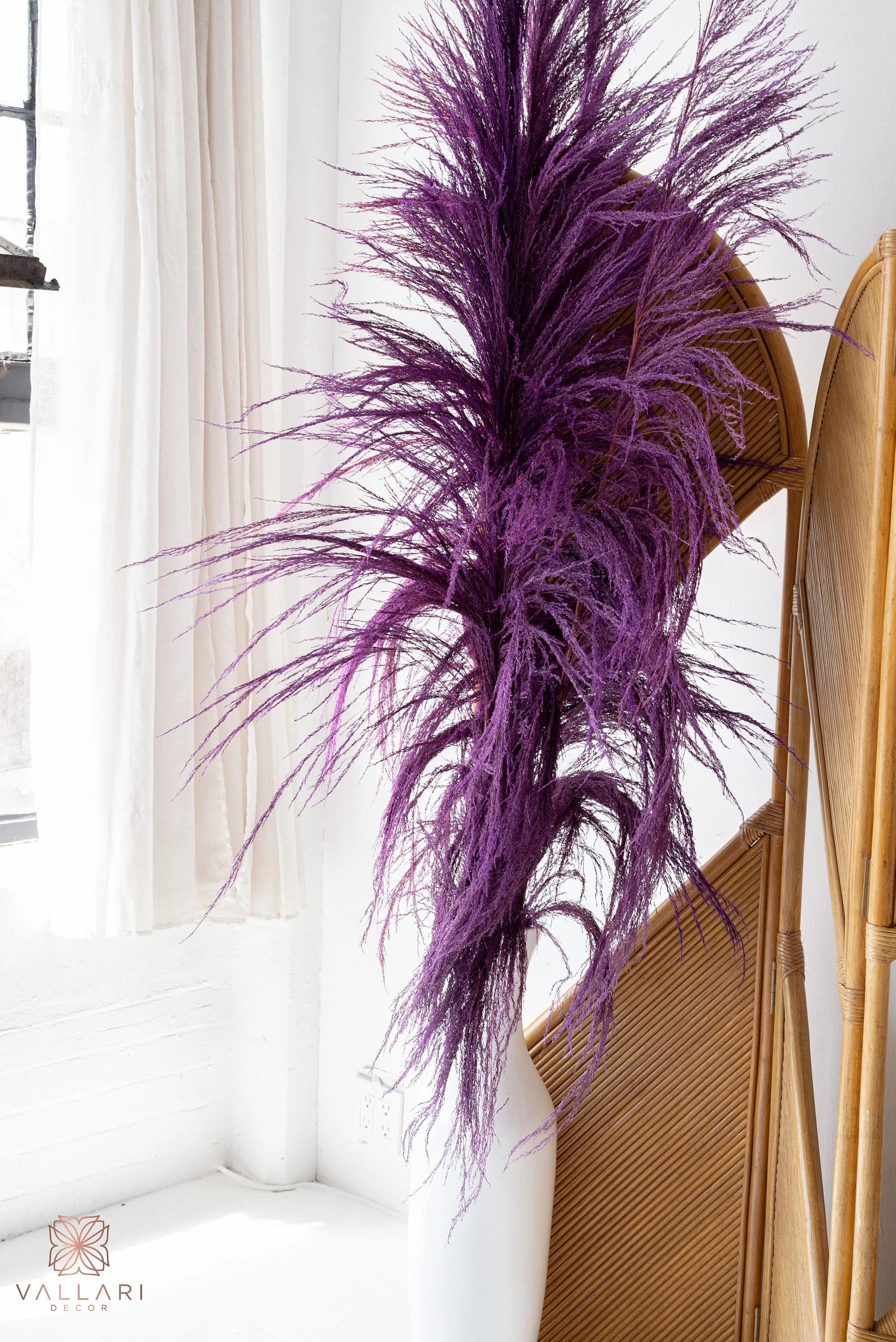 5FT -3Pc AUBERGINE UVA STALK/Pampas/Natural Stalk/Natural Branches/Rustic Decor/Home Decoration/Home Decor/WinterWedding/Wedding Centrepiece