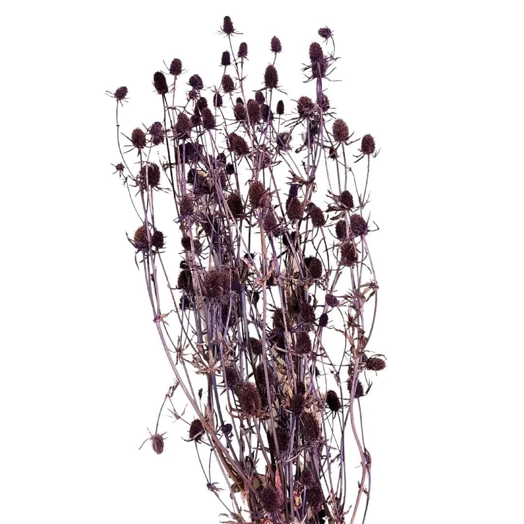 24" Eryngium Thistles/Fall/Thanksgiving/Table Setting/Home Decor/Faux Decor/Faux Decoration/Fall Season/Indoor Decor/Artificial