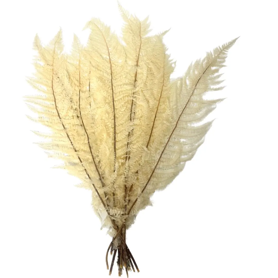 30" Bleached Felce Marina/Filler Decor/Faux Filler/Home Decor/Vase Decor/Centerpiece Decor/Faux Flower/Silk Flowers/Flower Bouquet