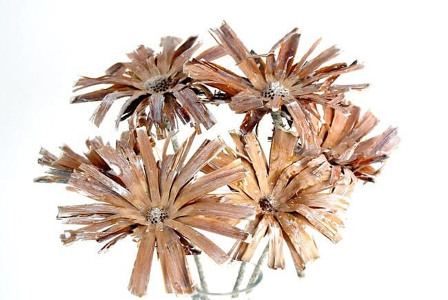White Wash Super Cut Protea Flowers/Florals/Rustic Decor Idea/Rustic Bowl Filler/Rustic Table Decor/Fall Decor/Spring Decor/Home Decor Idea
