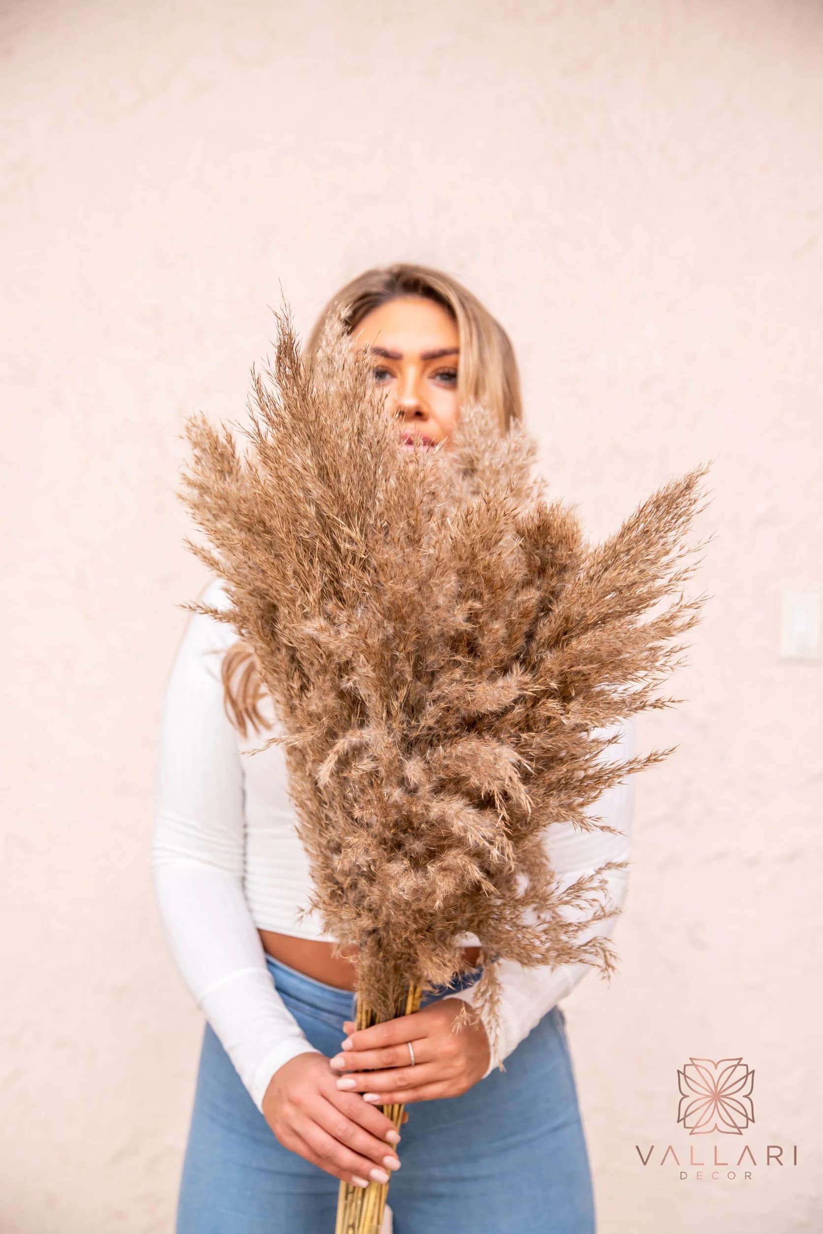 27" - 6pc Natural Pampas Grass/ 6 Pampas Bundle/Home Decor/Wedding Decor/Brown Pampas/Ivory Pampas/Natural Pampas/2.5ft pampas