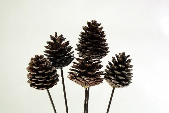 3"-4" NATURAL SPARKLE Pine Cones On Stems/Cones/Pine Cones On Sticks/Rustic Decor Idea/Rustic Bowl Filler/Rustic Table Decor/Fall Decor